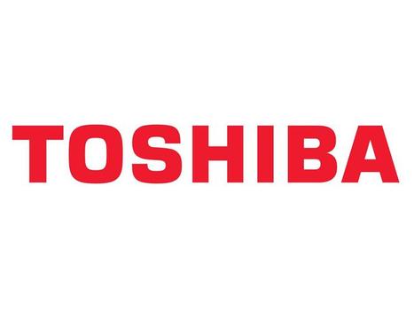TOSHIBA Wastetoner TOSHIBA TB-F55E (6AG00002332)
