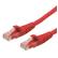 VALUE Value CAT6 UTP CCA LSZH Ethernet Cable Red 1m Factory Sealed