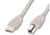 ASSMANN Electronic USB CONNECTION CABLE 1.8M A/M-B/M CABL