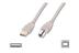 ASSMANN Electronic USB 2.0 CONN.CABLE A -B 1M USB 2.0 CONFORM CABL