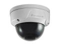 LEVELONE FIXED DOME OUTDOOR CAMERA 5-MP H.265/264 POE IP67 IK10          IN CAM