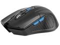 TRACER Mouse Fairy Black RF nano