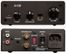 BEALE STREET AUDIO Class D 100w Subwoofer Amp