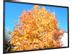 SCREENINT FLATMAX 16:9 Fixed Screen SPECIAL OR