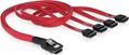 DELOCK Kabel SAS mini 36pin (SFF 8087)&gt; 4x SATA 0,