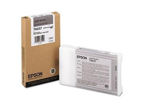 EPSON n Ink Cartridges,  T603700, Singlepack,  1 x 220.0 ml Light Black (C13T603700)