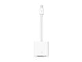 APPLE Mini DisplayPort to DVI Adapter