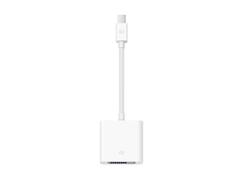 APPLE Mini DisplayPort to DVI Adapte