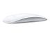 APPLE MAGIC MOUSE 2 IN PERP