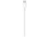 APPLE USB-C Charge Cable 2m