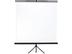 DS PRO Screen 180x180 Tripod DS