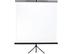 DS PRO Screen 240x180 Tripod DS