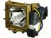 MICROLAMP compatible