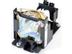 MICROLAMP compatible
