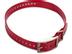 GARMIN Astro DC50 Repl. Band, Red