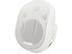 ECLER eCURVE104 White Wall speaker