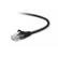 BELKIN Patch Cable/ CAT5 RJ45 snagl black 1m