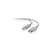 BELKIN USB A - B CABLE 1.8M 20/28 AWG  BAG & LABEL NS (F3U133B06)