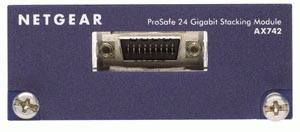 NETGEAR ProSafe 24 Gg Stack Kit (AX742)