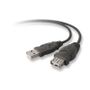 BELKIN USB A EXTENSION CABLE 3M . IN