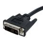STARTECH 2m DVI to VGA Display Monitor Cable M/M - DVI to VGA (15 Pin) (DVIVGAMM2M)