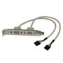 STARTECH USB FEMALE SLOT PLATE ADAPTER F-FEEDS (USBPLATE            )