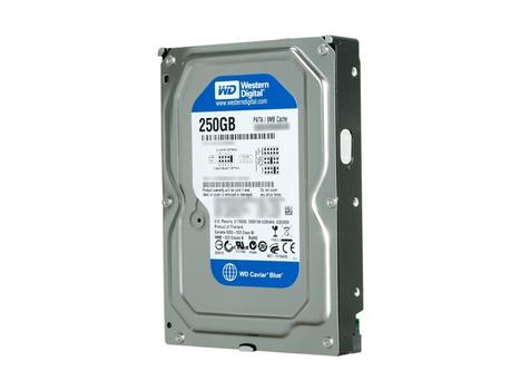 WESTERN DIGITAL CAVIAR SE 250GB 3.5" PATA 7200RPM 8MB (WD2500AAJB)