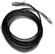 LSI Cable - 10m SAS
