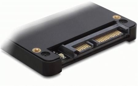 DELOCK Card Reader 2,5 SATA (91673)