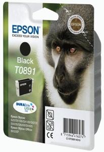 EPSON Toner Epson C13T08914010 svart (C13T08914010)