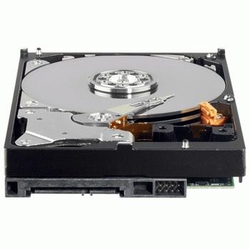 WESTERN DIGITAL RE4-GP Enterprise 2TB 3.5" SATA2 IntelliPower min. 5400RPM 64MB (WD2002FYPS)