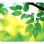 FELLOWES RECYCLED OPTICAL MOUSEPAD LEAVES
