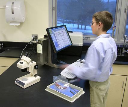 Ergotron Neo-Flex - skjerm/ stasjonær-stativ - løfte, sikker klemme (33-338-085)