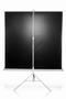 ELITE SCREENS Stativ canvas  4 (T120NWV1)