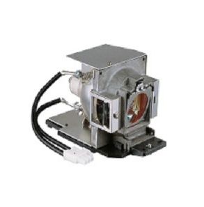 BENQ Projector Spare Lamp for W1000/ W1000+ (5J.J0W05.001)