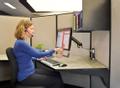 ERGOTRON LX Desk Mount LCD Arm (45-241-026)