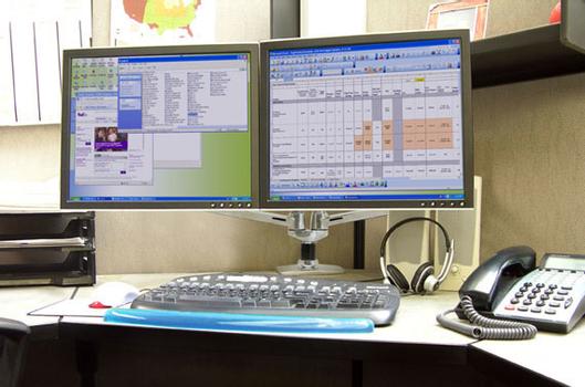 ERGOTRON LX DUAL SIDE BY SIDE ARM (45 245 026)