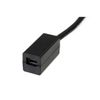 STARTECH 15cm DisplayPort to Mini DisplayPort Video Cable Adapter - M/F	 (DP2MDPMF6IN)