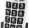 DORO PhoneEasy 100w (380099)