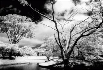 COKIN IR-Filter P 007 (WP1R007)