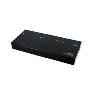 STARTECH 2 Port DVI Video Splitter with Audio