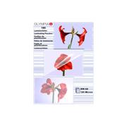 OLYMPIA 1x100 Laminating Pouches DIN A 6 125 micron          9178