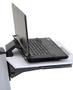 ERGOTRON NeoFlex Laptop Cart (24-205-214 $DEL)