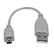 STARTECH 6IN MINI USB 2.0 CABLE - A TO MINI B CABL