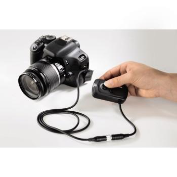 HAMA FjernutlÃ¸ser DCC Base  (00005202)