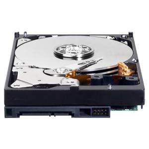 WESTERN DIGITAL WD Caviar Blue 500GB 7200RPM (WD5000AZLX)