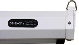 CELEXON Economy Manual Screen (1090029)