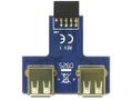 DELOCK USB Adapter USB Pineheader -> 2x USB A nebe (41824)