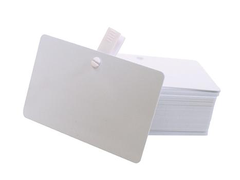 EVOLIS Plastic Cards, 100pcs (C4512)