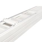 PROJECTA Tensioned Elpro Large Electrol (10102687)